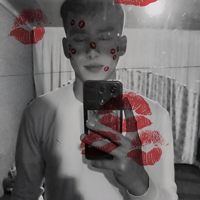  53355727  , 22 ,    