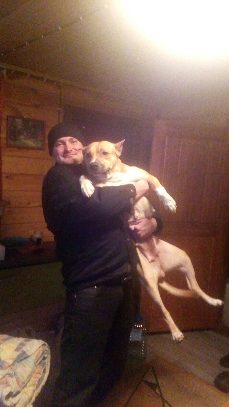 ���� 54822977 ������� �����, 40 ���, ���� ���������� � �����-����������