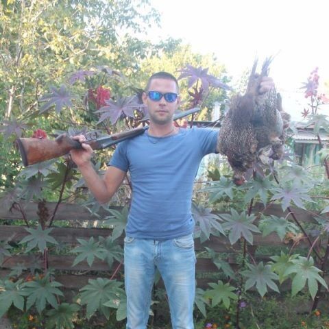  ,   , 38 ,   , 