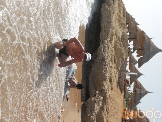  943887  Toxa01051980, 41 ,    