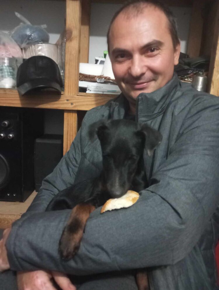  47560727  Nikolai, 38 ,    