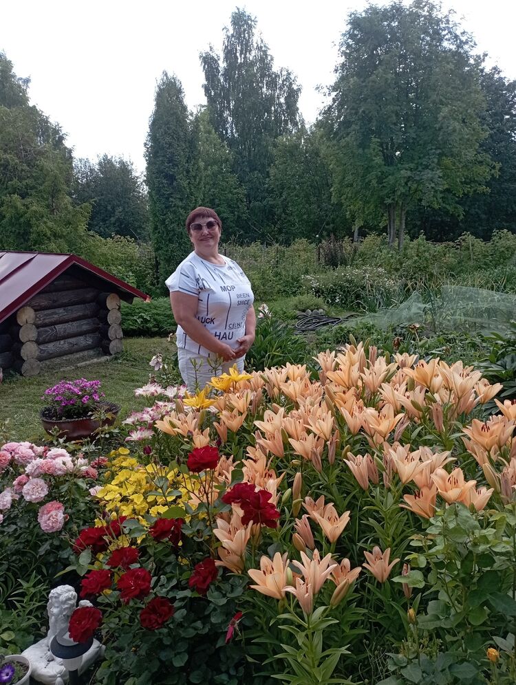 ���������� �������, ���� ������� �����, 62 ����, ������������ ��� ������, ����� � ���������