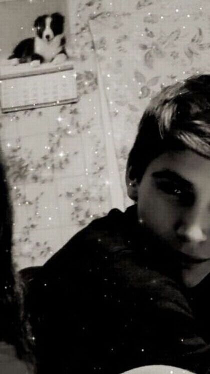 ���� 24932497 ������� ������, 27 ���, ���� ���������� � ���������