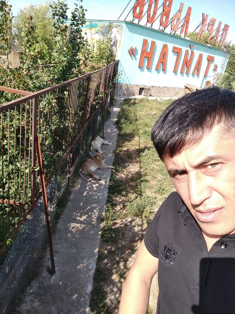  29388577  , 34 ,    