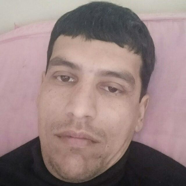  33431697  , 39 ,    