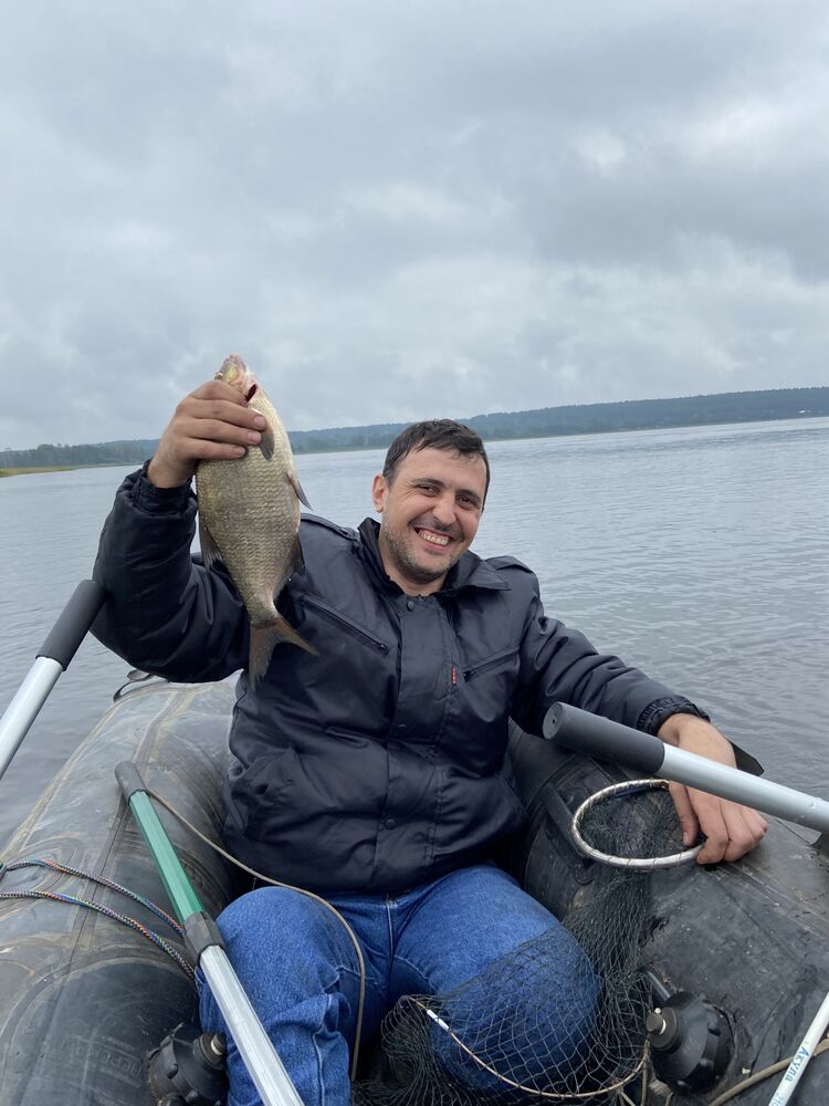  33954207  , 42 ,    -