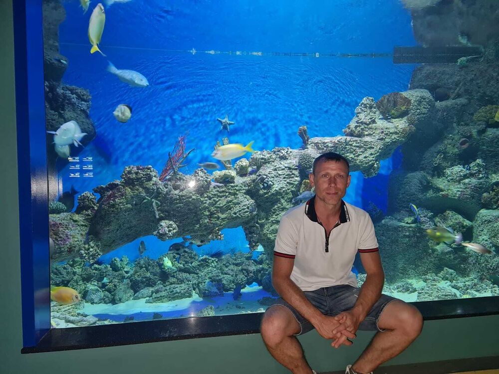  53370827  , 39 ,    -