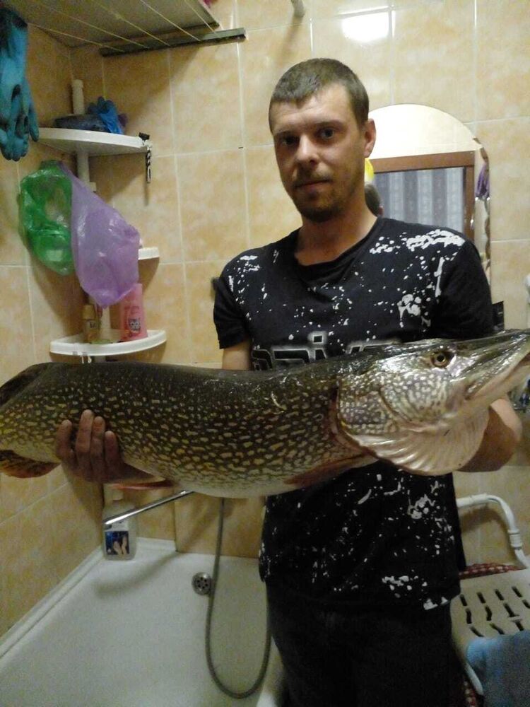 ���������� �������, ���� ������� ������, 34 ����, ������������ ��� ������, ����� � ���������