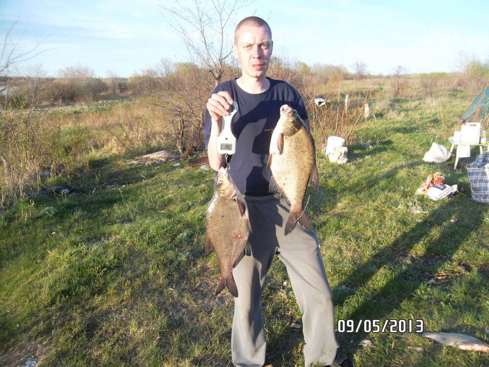 ���������� �������, ���� ������� �������, 41 ���, ������������ ��� ������, ����� � ���������, c�������� ���������