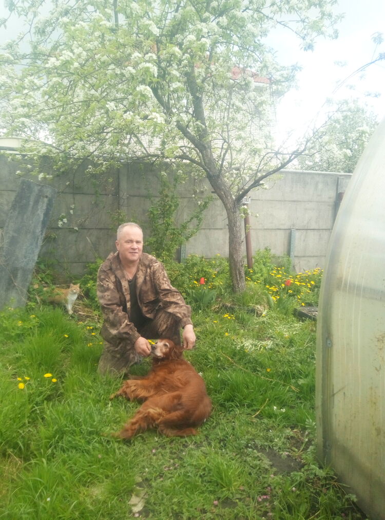  ,   , 54 ,   c 