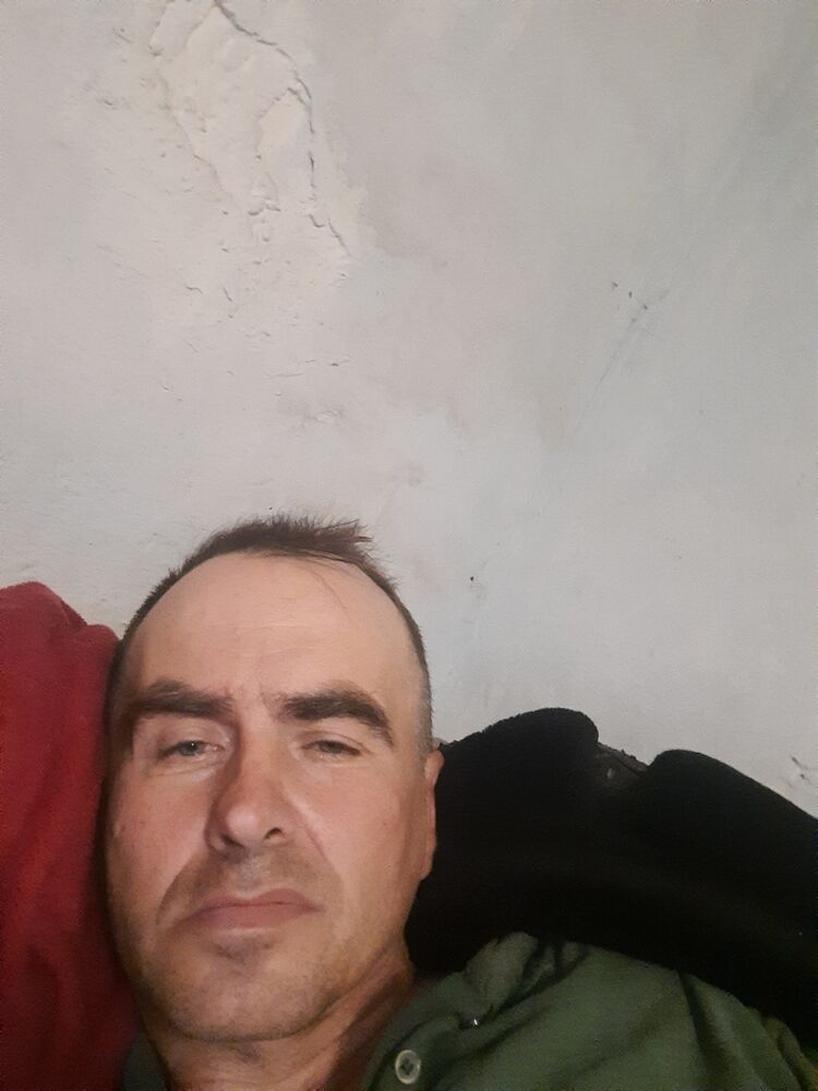  29639697  , 56 ,    