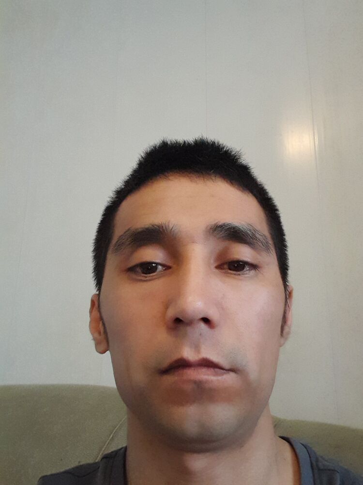  53737667  , 32 ,    