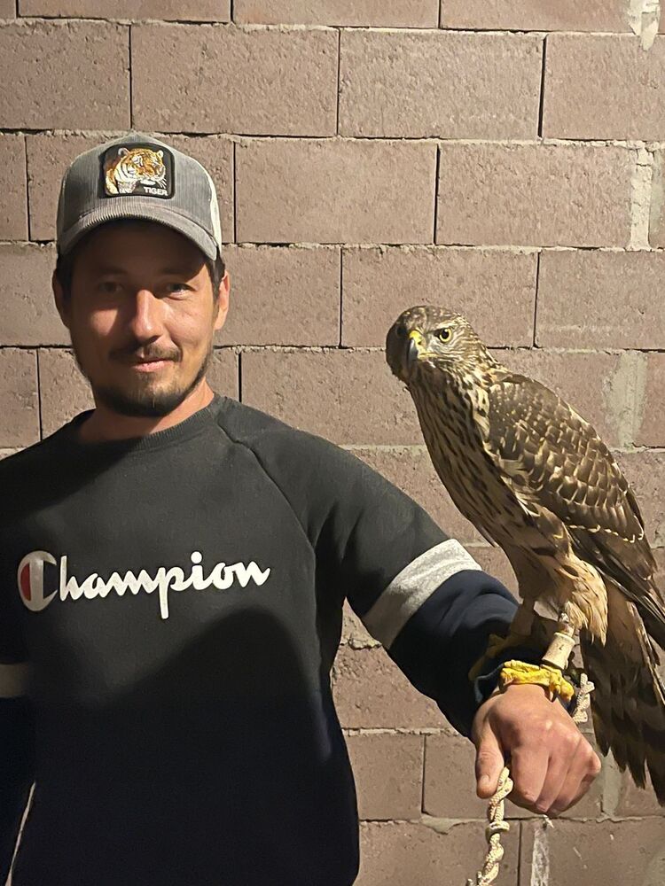 ���� 33015757 ������� �����, 36 ���, ���� ���������� � �������