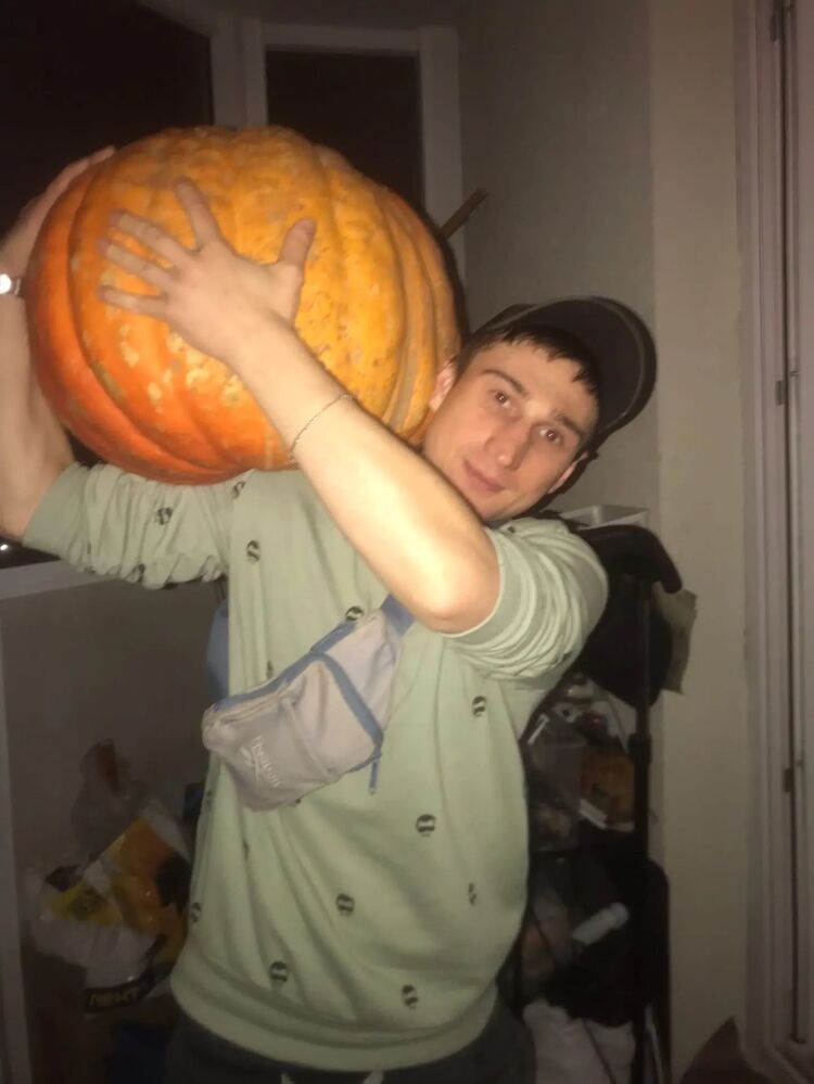 ���� 29983537 ������� ����, 34 ����, ���� ���������� � �����-����������