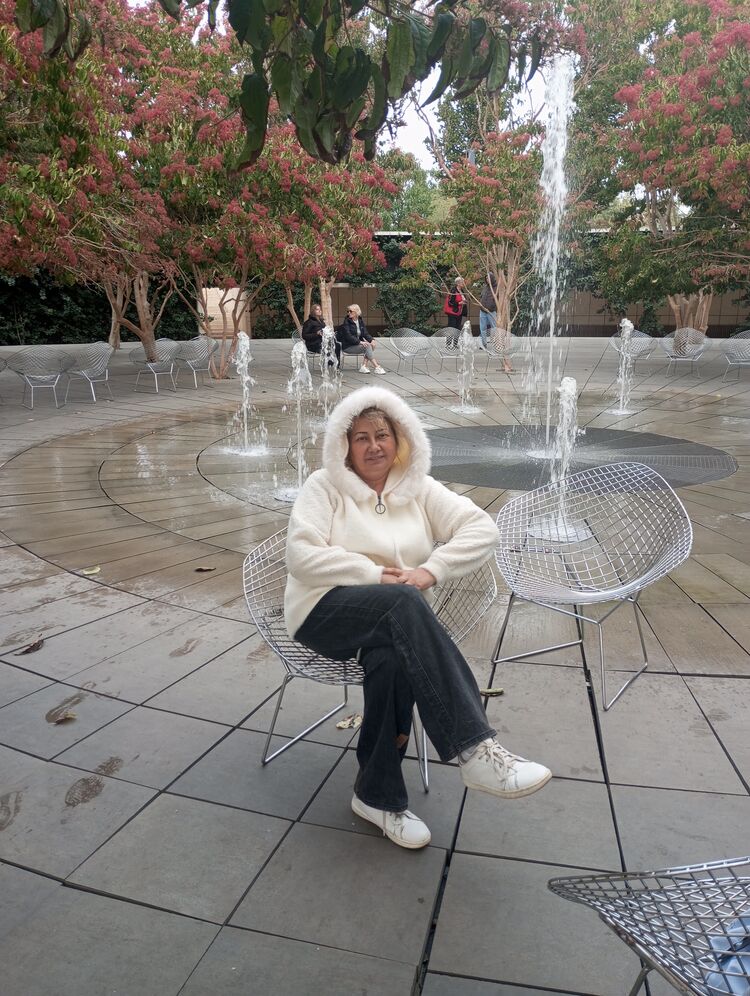 ���������� �����������, ���� ������� �����, 58 ���, ������������ ��� ����� � ���������, c�������� ���������, ���������