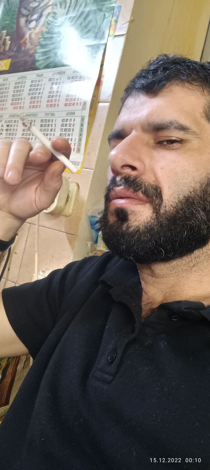 ���� 31361967 ������� ________, 31 ���, ���� ���������� � ����������