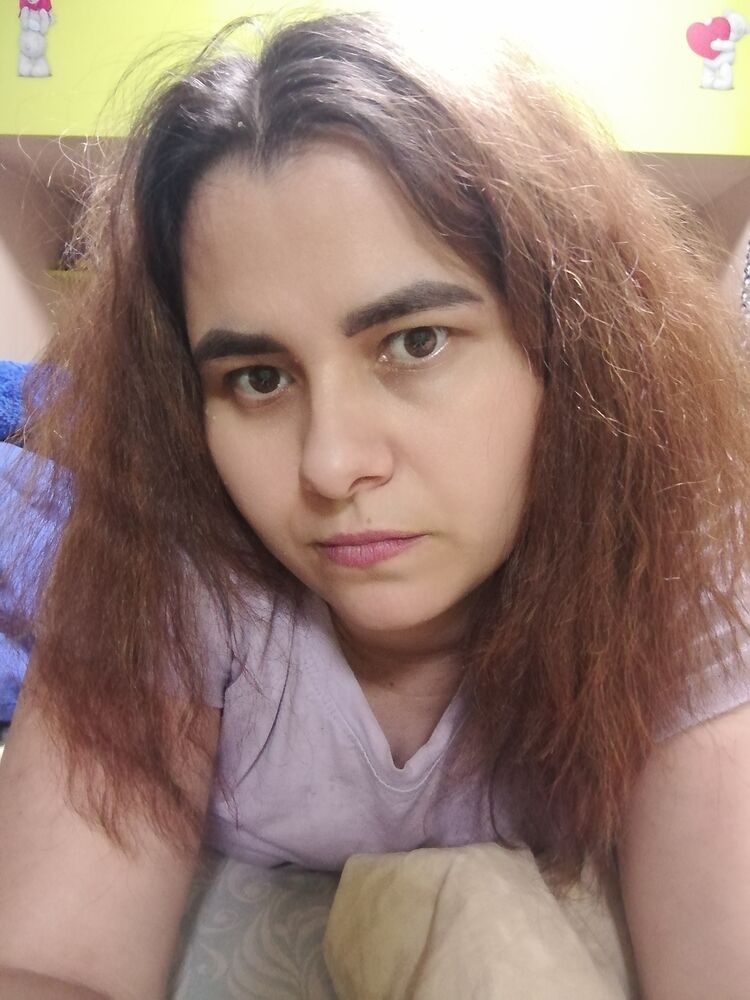 53806217  , 28 ,    