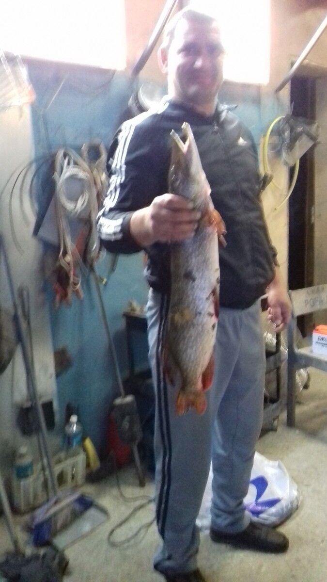 ���� 10137197 ������� ���, 49 ���, ���� ���������� � ������