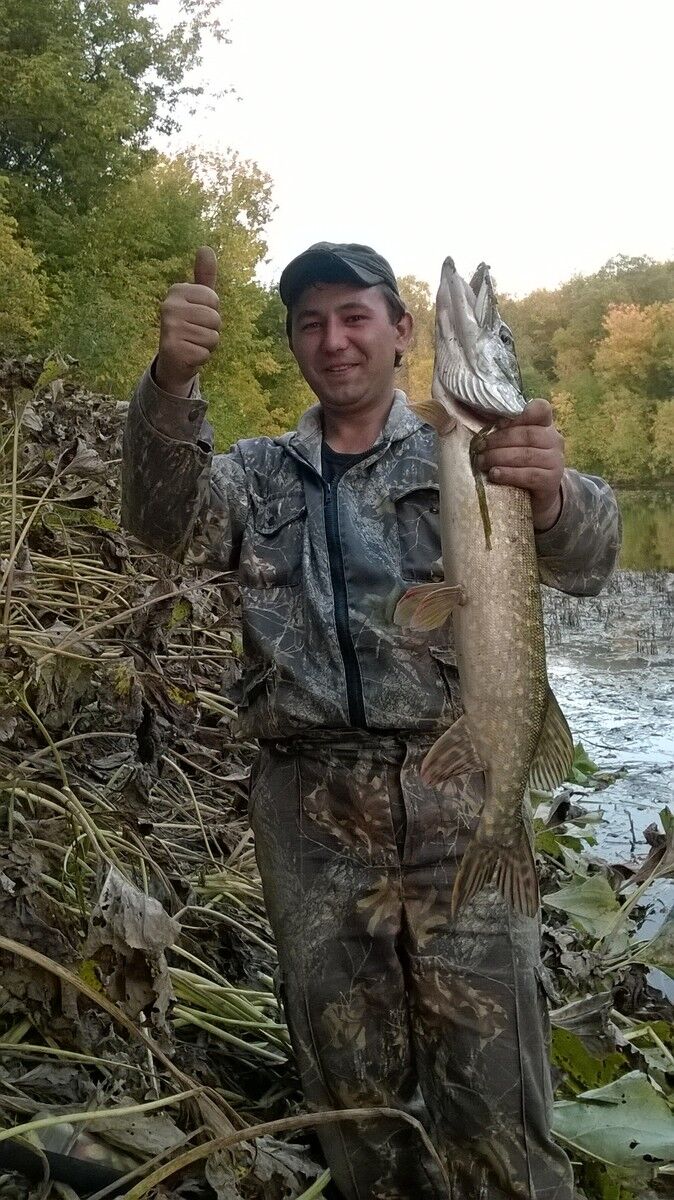 ���������� ������, ���� ������� ����, 36 ���, ������������ ��� ����� � ���������, c�������� ���������