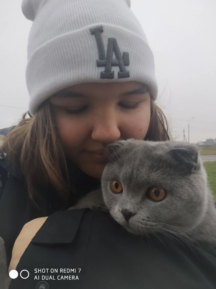  ,   , 19 ,   c 