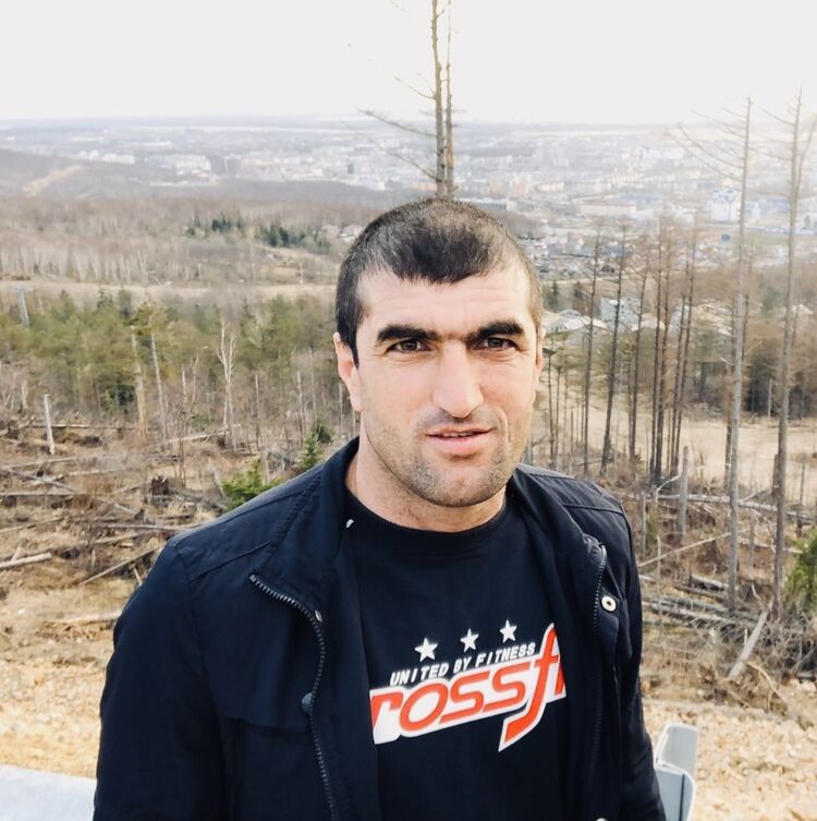 ���� 46517177 ������� Shoma, 36 ���, ���� ���������� � ����������