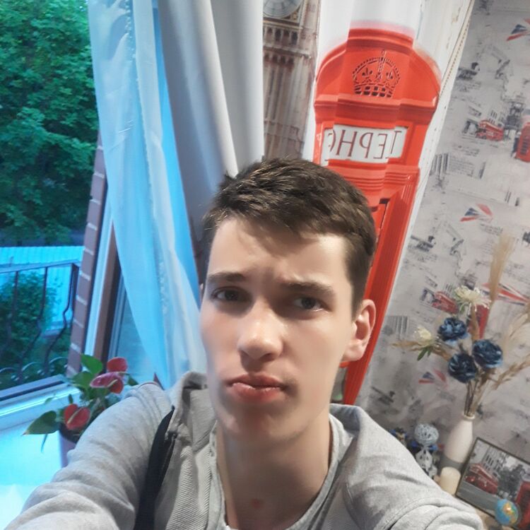  28649207  , 22 ,    