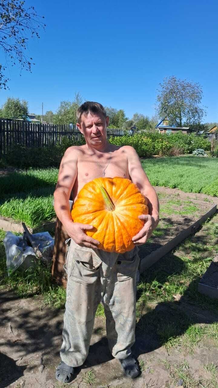  --,   , 49 ,   ,   