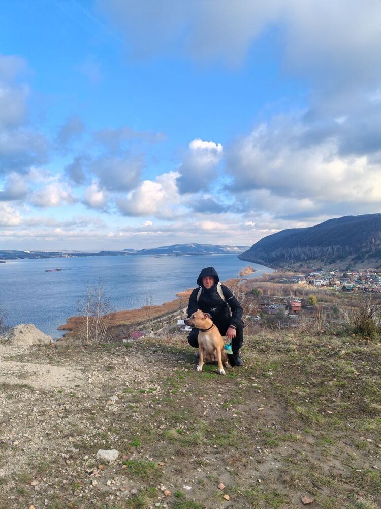 ���������� ��������, ���� ������� �������, 38 ���, ������������ ��� ������, ����� � ���������, c�������� ���������