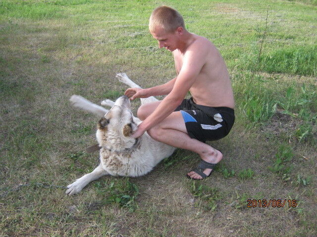 ���������� ��������, ���� ������� �����, 40 ���, ������������ ��� ������