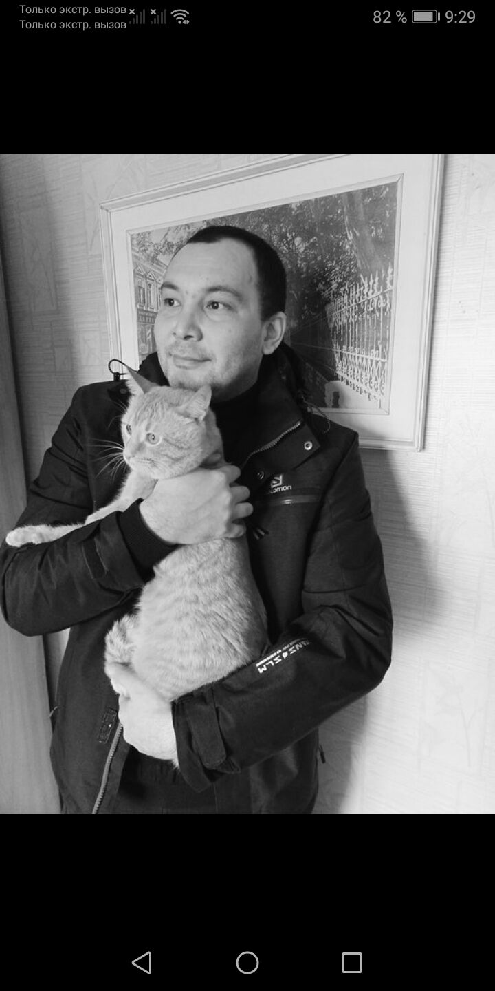 ���������� ���������, ���� ������� ������, 36 ���, ������������ ��� ����� � ���������, c�������� ���������