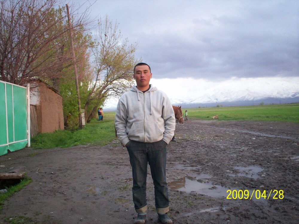 ���� 8648257 ������� ������, 44 ����, ���� ���������� � �������