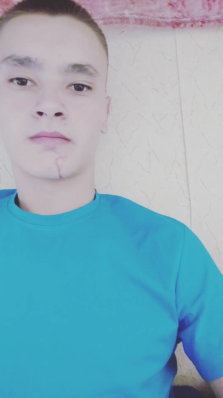  31177667  , 21 ,    