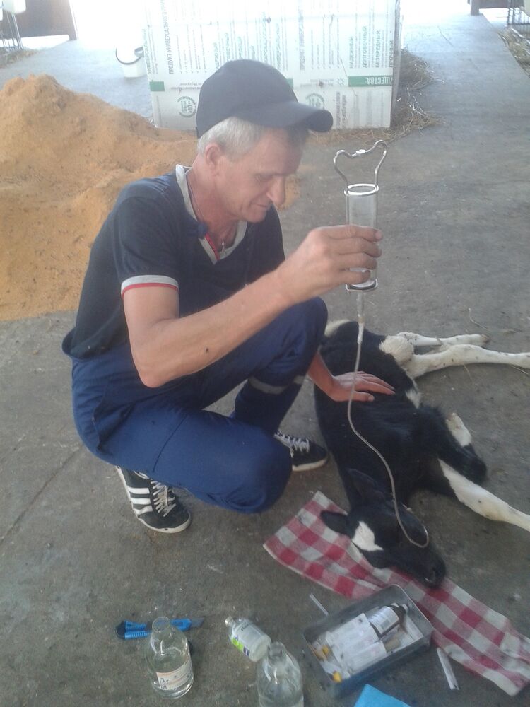  ,   Aleksandr, 47 ,   ,   , 