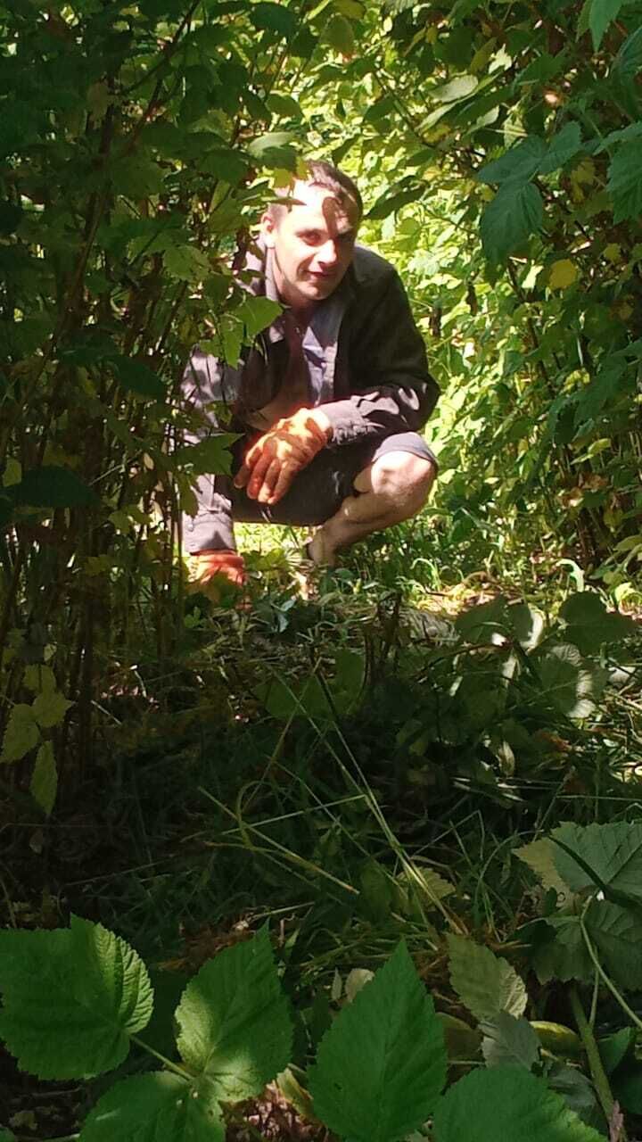 ���� 26824147 ������� ������, 102 ����, ���� ���������� � �������������