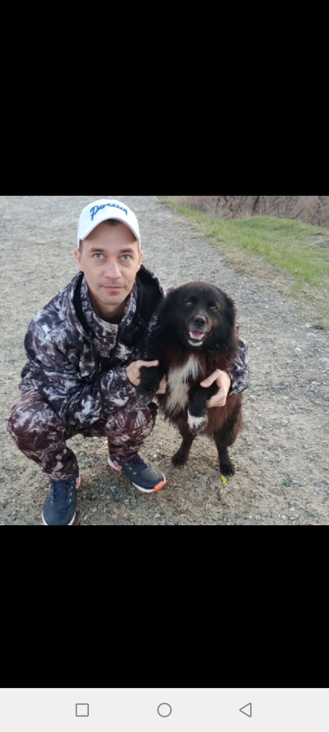 ���������� ��������, ���� ������� ������, 37 ���, ������������ ��� ������, ����� � ���������