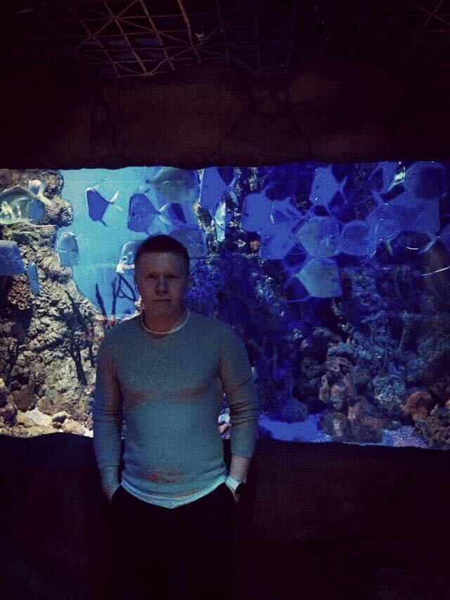  50913437  , 31 ,    