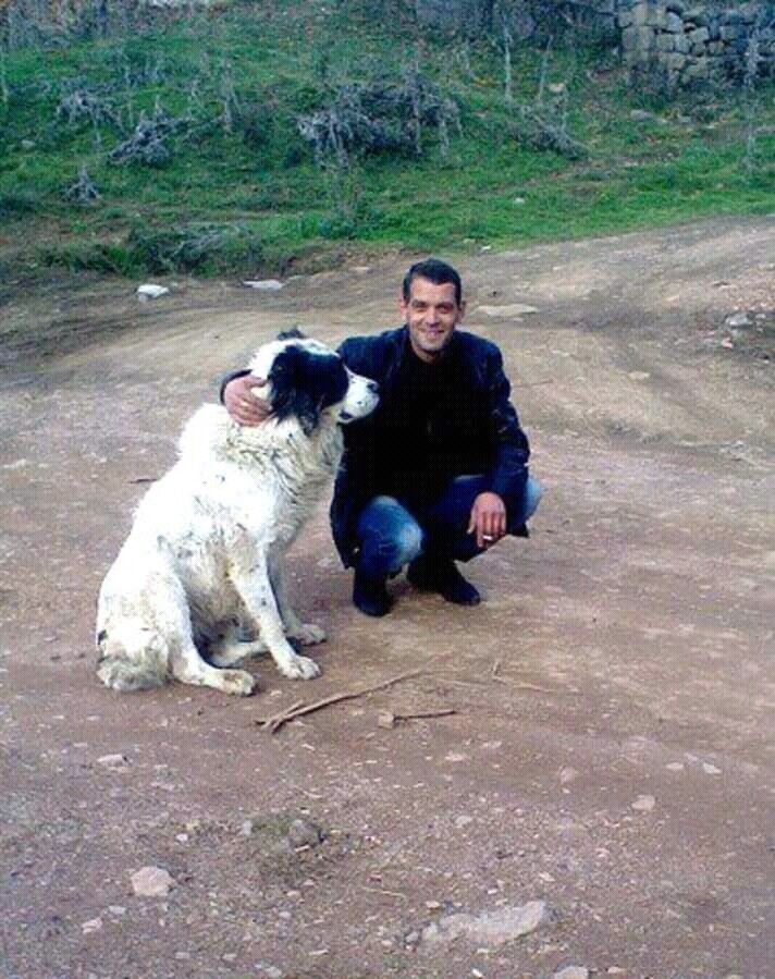 ���������� �������, ���� ������� Valeri, 47 ���, ������������ ��� ������, ����� � ���������, c�������� ���������