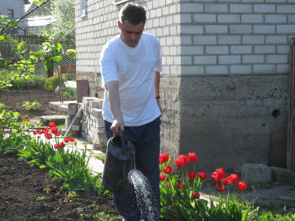 ���� 54970027 ������� ������, 58 ���, ���� ���������� � �������������