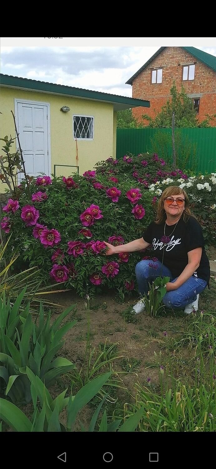  ,   , 57 ,   c , 