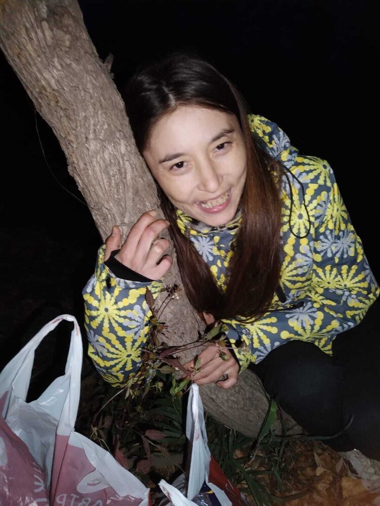 ���� 53781437 ������� ������, 29 ���, ���� ���������� � ���������