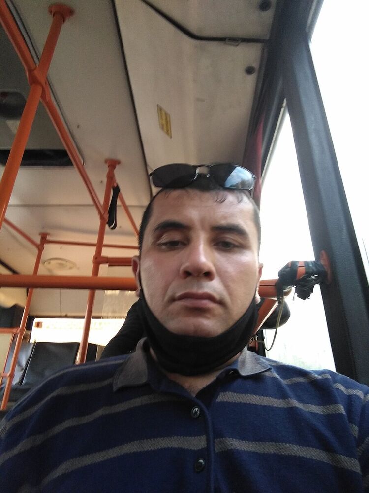  20331267  , 43 ,    