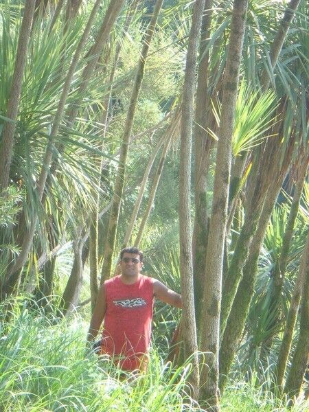  ,   Yerem, 41 ,   ,   , c 