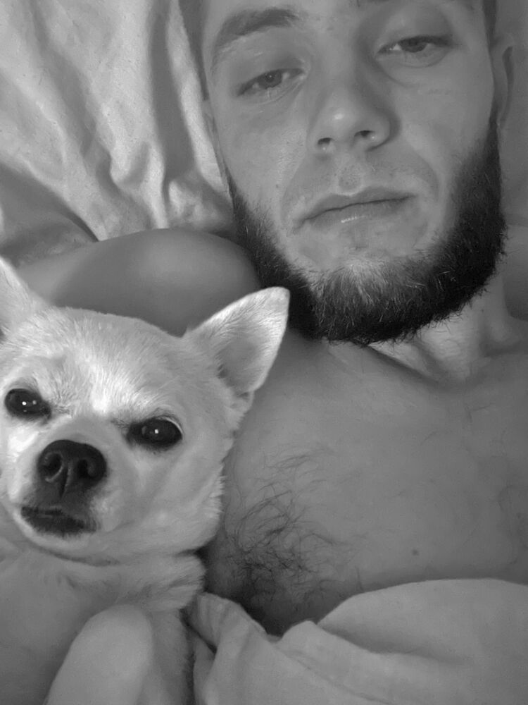 ���� 32113227 ������� ���������, 29 ���, ���� ���������� � ���������