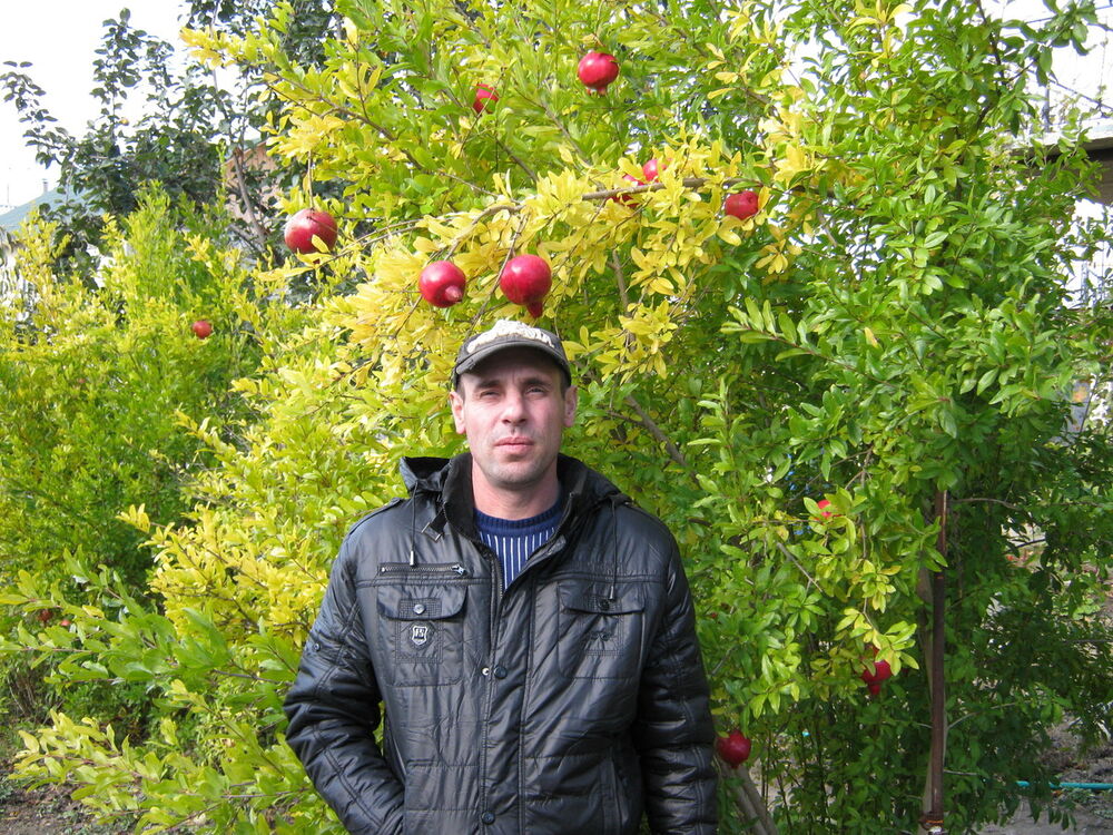  ,   , 54 ,   