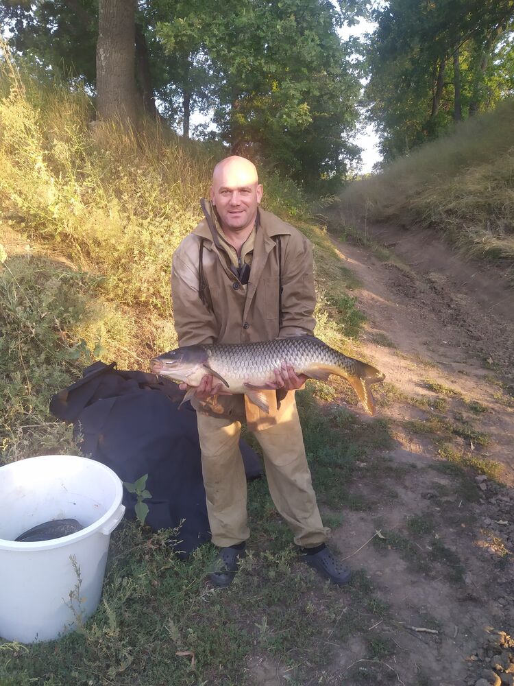 ���������� ������, ���� ������� �������, 46 ���, ������������ ��� ������, ����� � ���������