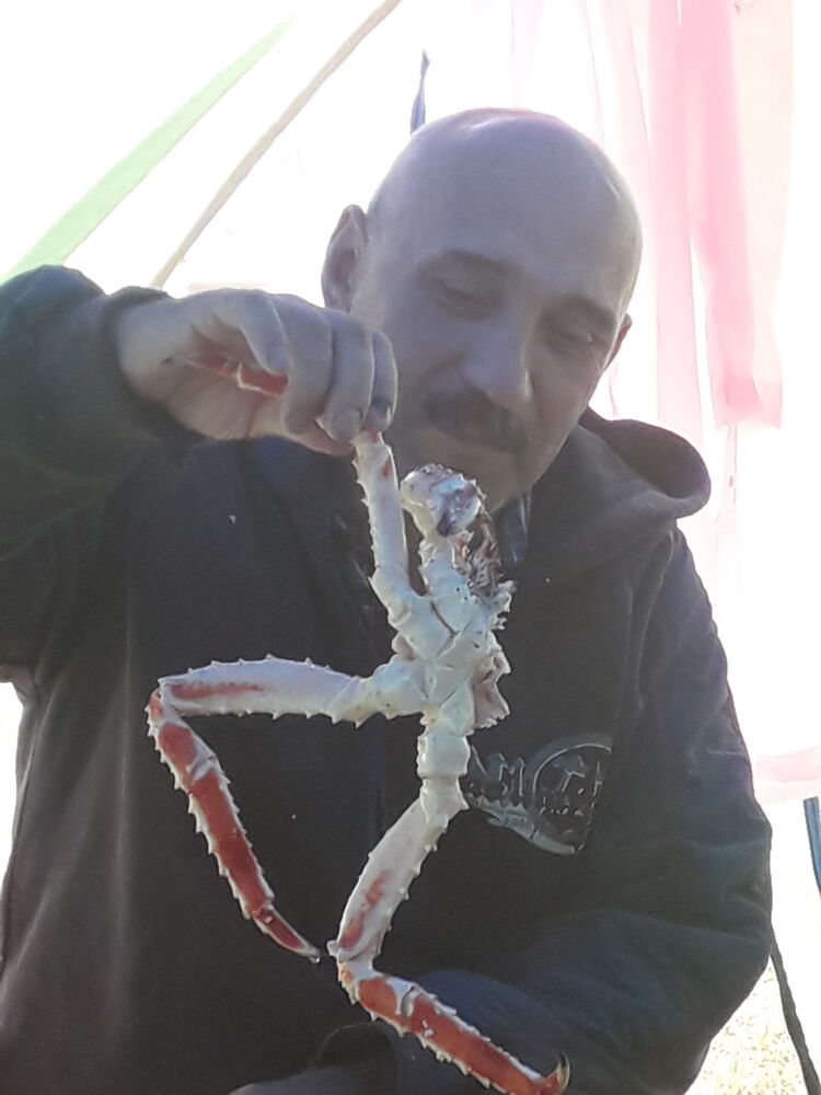  ,   , 46 ,   ,   , c , 