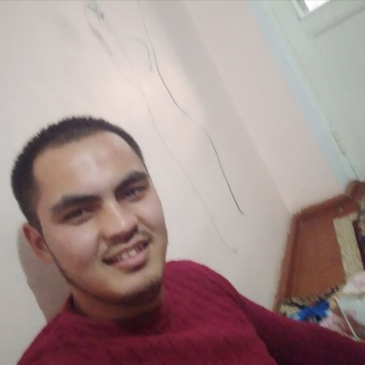  23637187  , 32 ,    