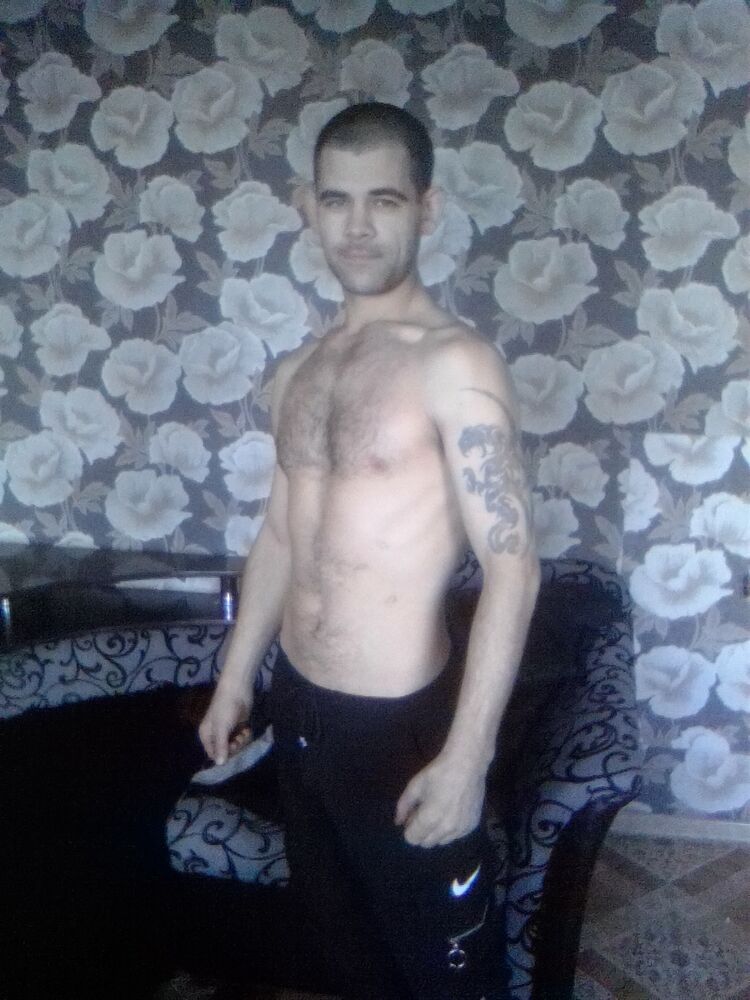  31667237  , 33 ,    