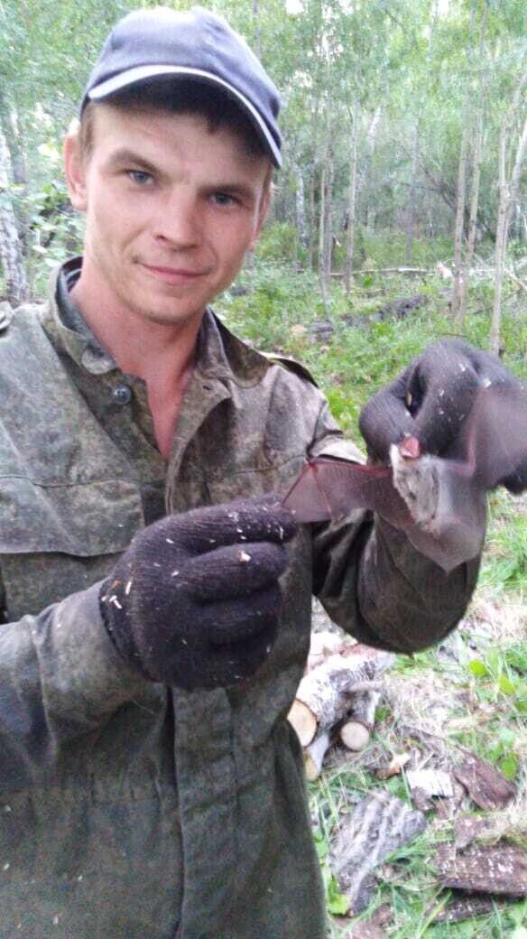 ���������� �����������, ���� ������� �������, 33 ����, ������������ ��� ������, ����� � ���������, c�������� ���������