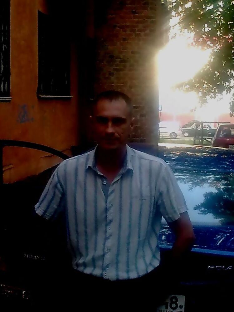  14159167  Kot, 50 ,    